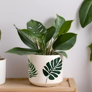 China Monstera Leaf Print Ceramic Planter - Minimalist Indoor Decor Pot VDLK1815 Manufacturers, Suppliers