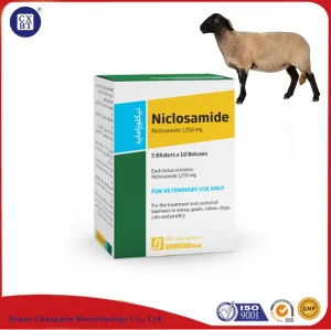 Schistosomiasis Prevention and Control Plan: Antibacterial Drug Disease Treatment