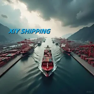 DAP Sea Freight International Forwarding Shipping Agent Services to Germany France