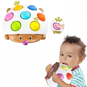 Cartoon Hedgehog Silicone Fidget Toy
