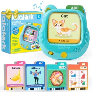 Flash Card Reader