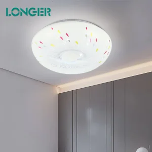 Surface Mounted Ceiling Light Led Ceiling Light
