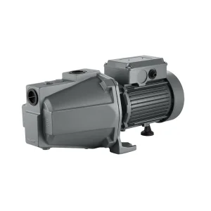 China Factory Wholesale0.75HP 1 HP Electrical Motor Jet100h Garden Booster Pump High Pressure Self-Priming Jet Pump Water Pump Copper Wire Brass Impeller Egypt