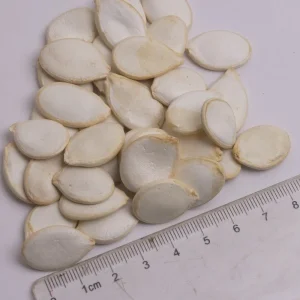 Fornecimento de Fábrica Fruta Seca Crua Snack Orgânico Saudável Sementes de Abóbora Brancas