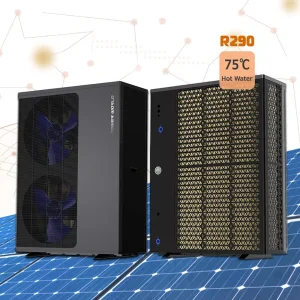 ERP a+++ Ultra Silent Air to Water R290 Propane Heat Pump Heater