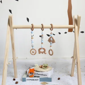 Eco Wooden Gym