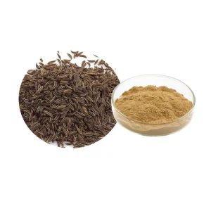 Celery Seed Extract Powder 10:1