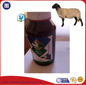 Premium Gut Health Solutions for Enhanced Animal Nutrition