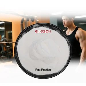Wholesale Halal Sport Supplement Ingredients Gym Muscle Support Vegan Pea Protein