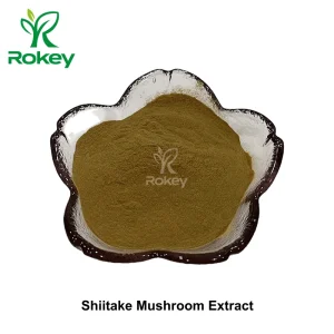 Pó Premium de Suporte Imunológico e Bem-Estar Extrato de Cogumelo Shiitake