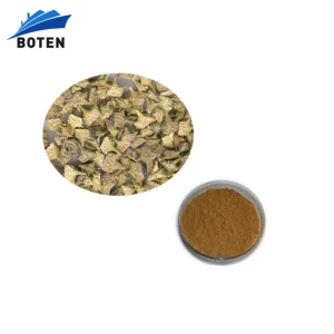 Natural Plant Extract Powder Tribulus Terrestris