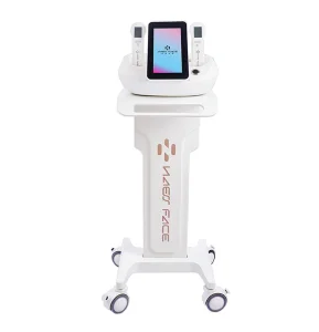 Sell Well New Type OEM Products Instrument 4 in 1Machine Professional Facial Beauty Device Skin Care Face Massage