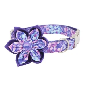 Floral Pet Collar