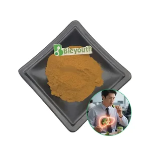 OEM Broccoli Seed Powder: The Potent Natural Extract for Holistic Wellness Supplier, Factories