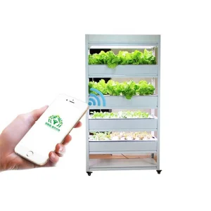 Household Vertical Hydroponic Rack System for Continuous Leafy Greens Production