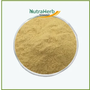 Natural Organic Camellia Saponin Powder 60% 90% Tea Seed Powder Saponin Extract