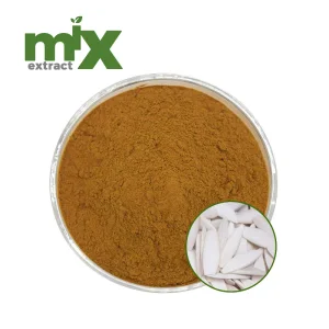 Cuttlebone Extract Powder