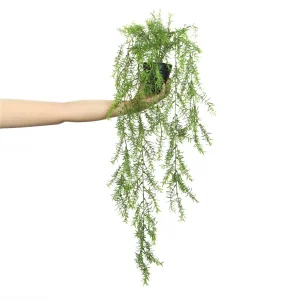 New Products Customized Creative Artificial Potted Plants Hanging for House