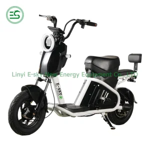 CE Self Electric Portable Battery Adult Kids Bicycle China Factory Spl-J