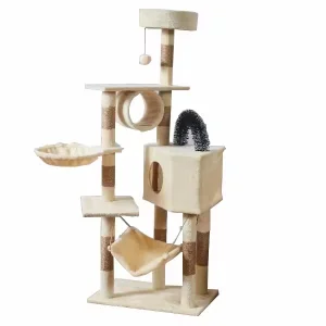 The Large Capacity Play Area Is Spacious Open Allowing Multiple Cats in Family to Play Interact Without Disturbing Each Other