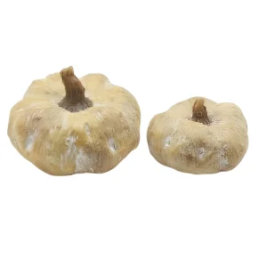 Wholesale Autumn Ceramic Pumpkin Set – Perfect for Harvest and Fall Decorating HDFS8046 Supplier, Factory