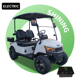 Electric 2-Seater Golf Cart