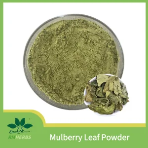 High-Quality Mulberry Leaf Powder for Weight Management and Wellness