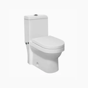 Bidet Toilet