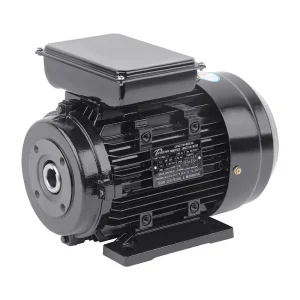 Titecho 7.5kw 10HP Motor Eléctrico Eje Hueco Bomba de Alta Presión Monofásica 380V Potencia Nominal 3kw
