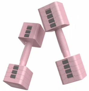 Quick Adjustable Dumbbell Manufacture Fitness Dumbbell Set Wholesale New Style Adjust Dumbbells for Women and Men
