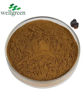 Organic Chaga Mushroom Extract Powder 30% Polysaccharides