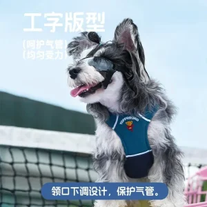 China Dog Harnesses Procurement