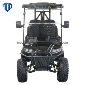 6 Seater Lifted Buggy