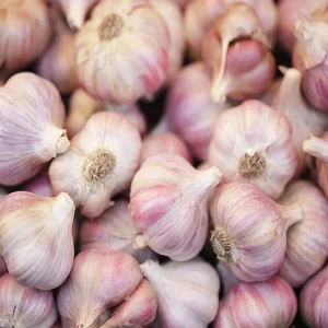 Dried Organic Garlic Powder