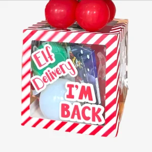 Christmas Elf Balloon Box Kit