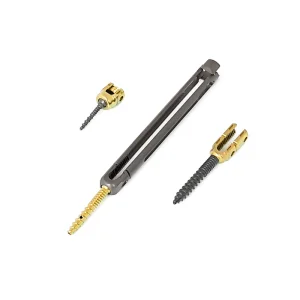 Spinal Pedicle Screw System