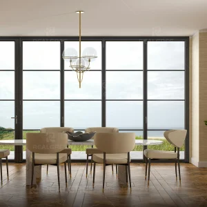 Steel and Glass Door