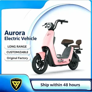 ODM Cute Two Seater E-Bike