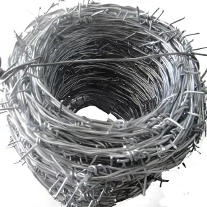 4 Points Barbed Wire