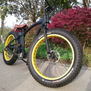 Bafang Motor E-Bike