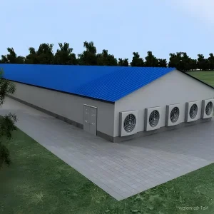 Poultry Housing Steel Structure Buildings