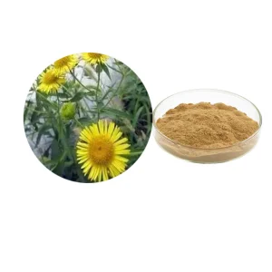 Natural Herbal Flos Inulae Extract
