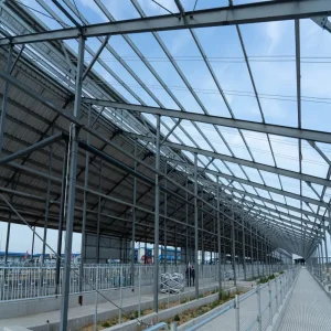 Portable House Solutions for Quick Installation and Eco-Friendly Living