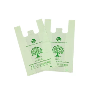 Biodegradable Takeout Packaging
