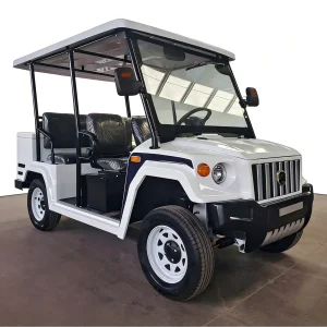 Golf Cart with Leather Seats 6-Seater 60KM/h Maximum Speed OEM Support for Fleet Management