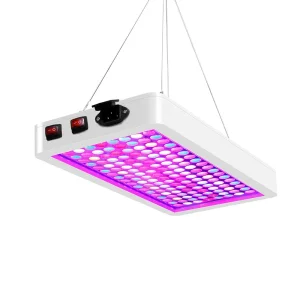 LED Grow Light 2000W Waterproof Phytolamp 2835 LEDs Chip Phyto Growth Lamp 265V Full Spectrum Plant Lighting for Indoor Plant