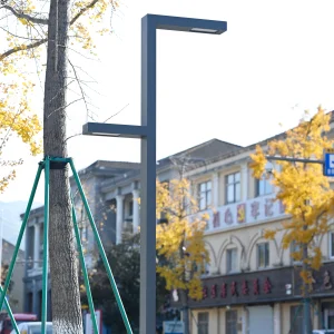 Smart City IP66 Street Light