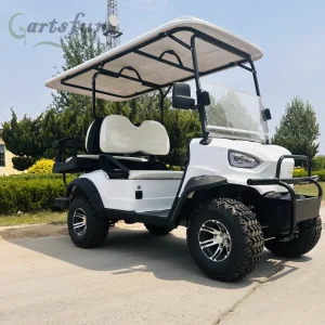 6 Seaters 60V Electric Vehicle with Roof Golf Cart with Competitive Price