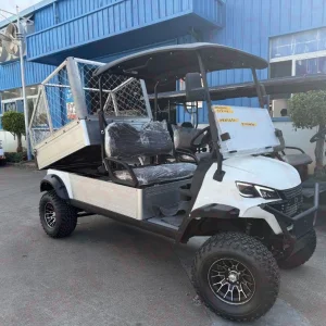 Veículo Elétrico Utilitário Carrinho Utilitário Buggy Utilitário Golfe Utilitário