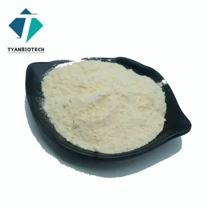 Hydrolyzed Vegan Protein Powder Pea Protein Isolated for Sport Supplement Powder